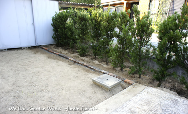 マキの樹の移植で造る生垣 豊田市 O様邸 ジャルダン ファヴォリ Jardin Favori